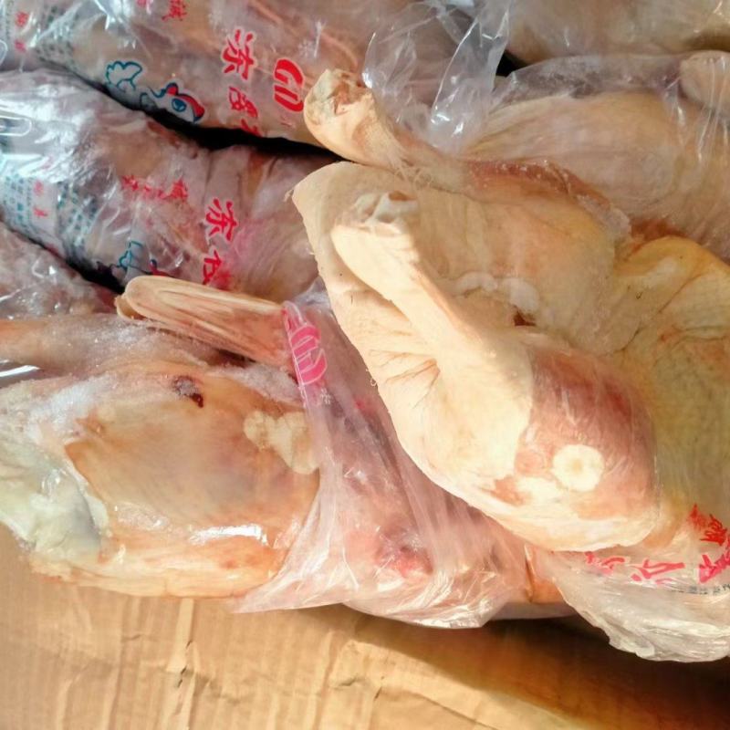 白条鸭