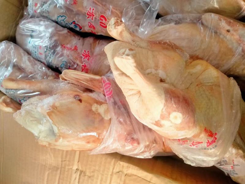 白条鸭