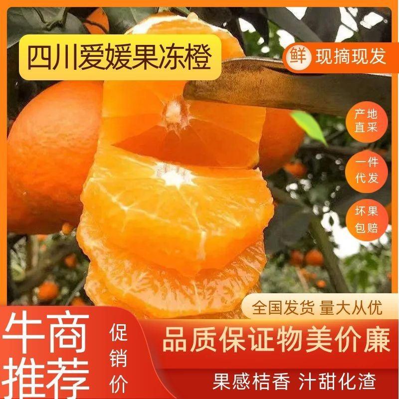 四川爱媛38号果冻橙平台代发微商自媒体社区一件代发