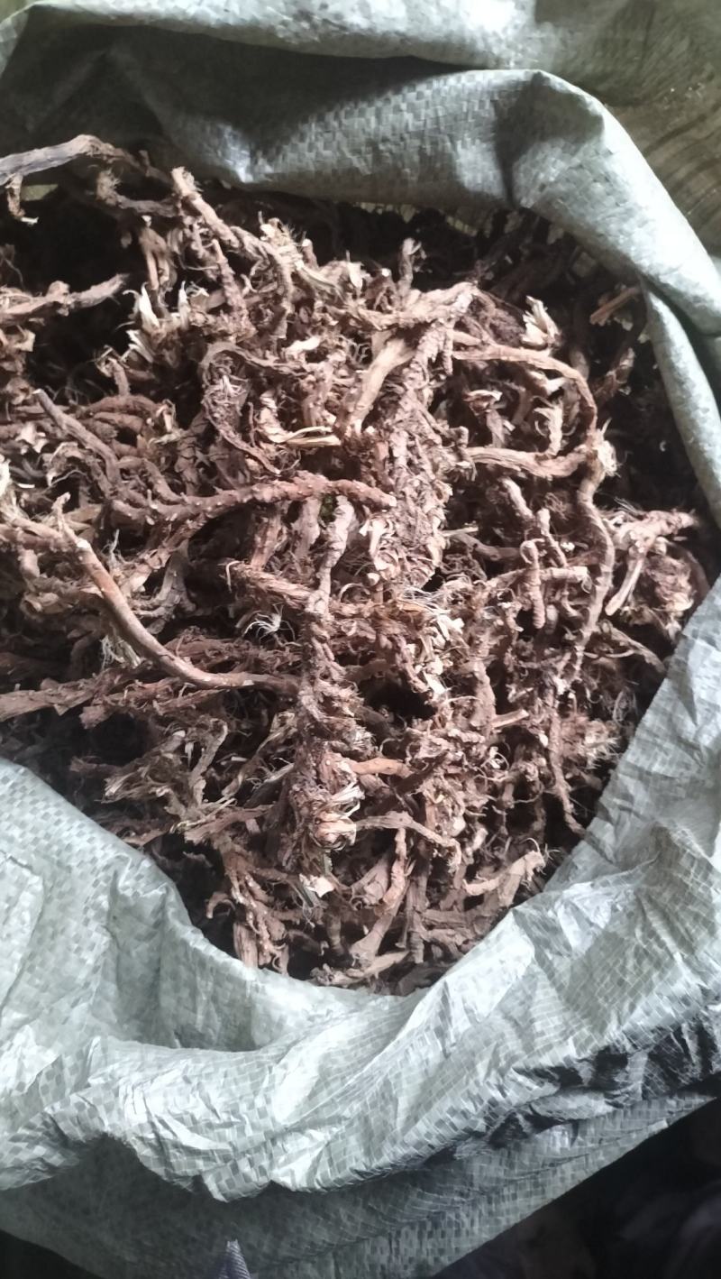 高山纯野生高海拔高含量石菖蒲天然无污染全干新货