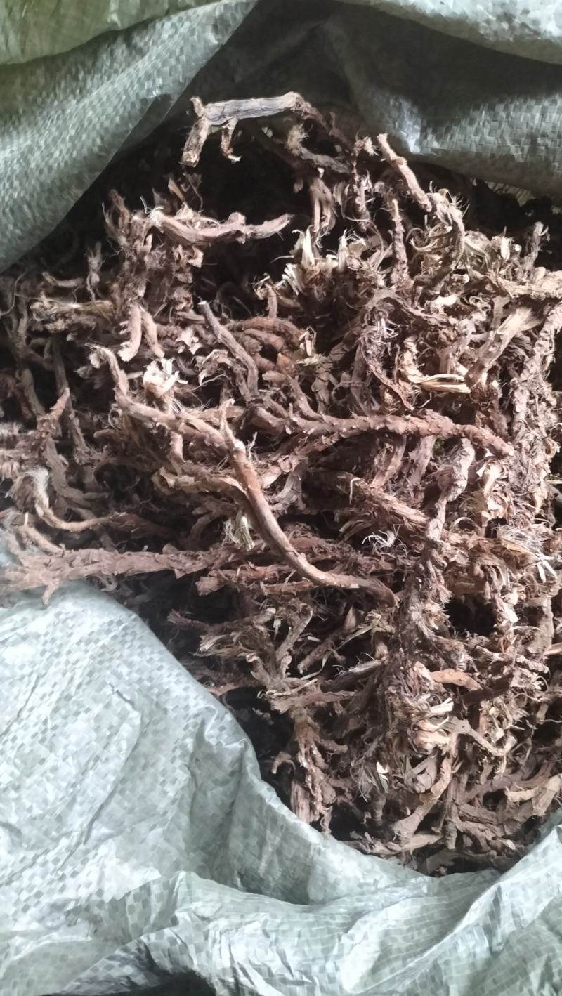 高山纯野生高海拔高含量石菖蒲天然无污染全干新货