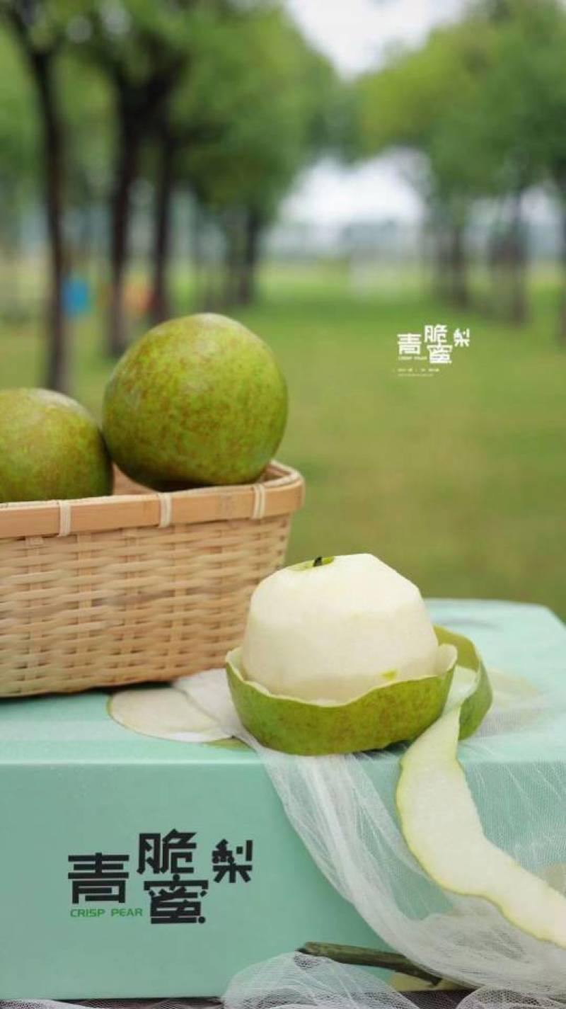 【一件代发】砀山.青脆蜜梨（老树果甜度17+）