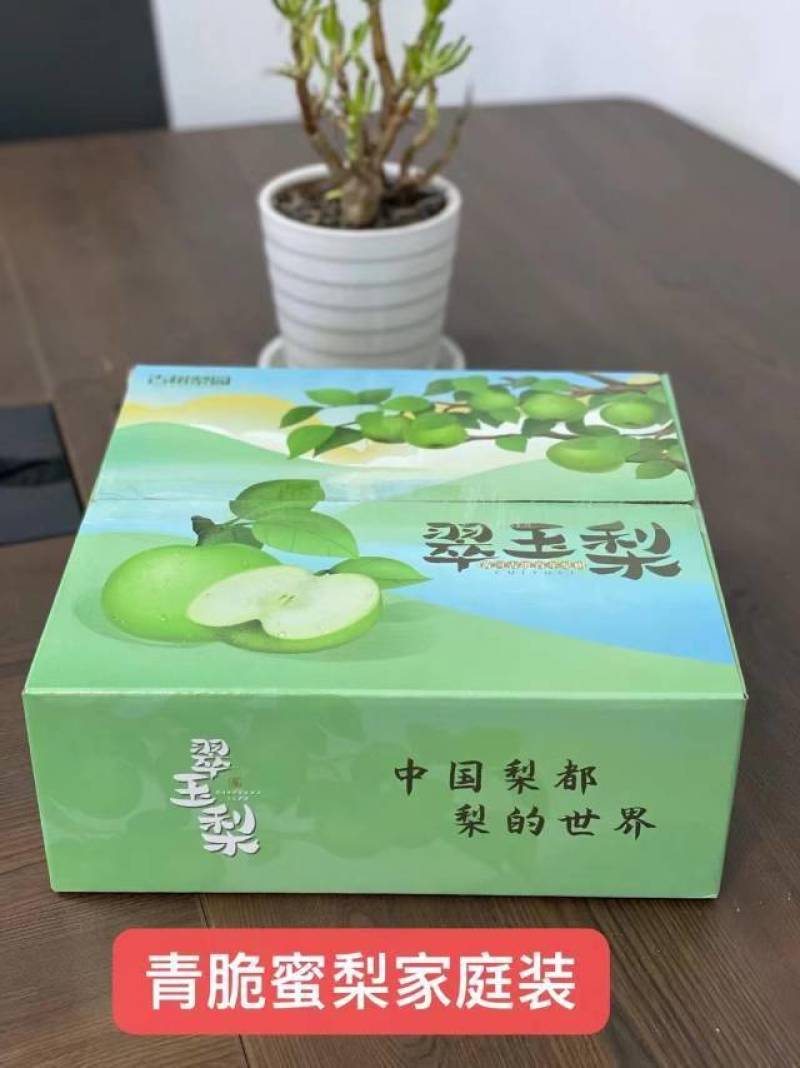 【一件代发】砀山.青脆蜜梨（老树果甜度17+）