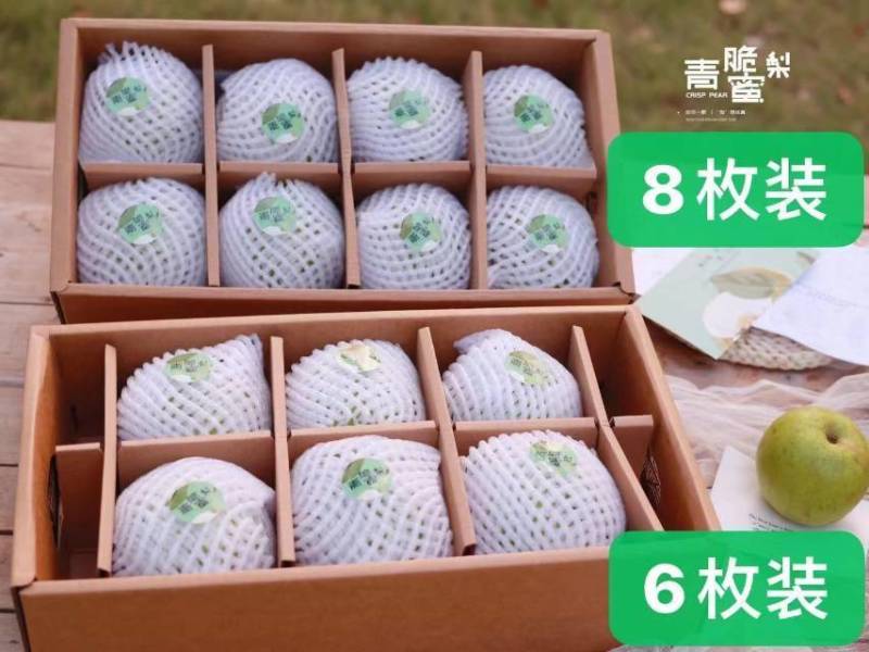 【一件代发】砀山.青脆蜜梨（老树果甜度17+）