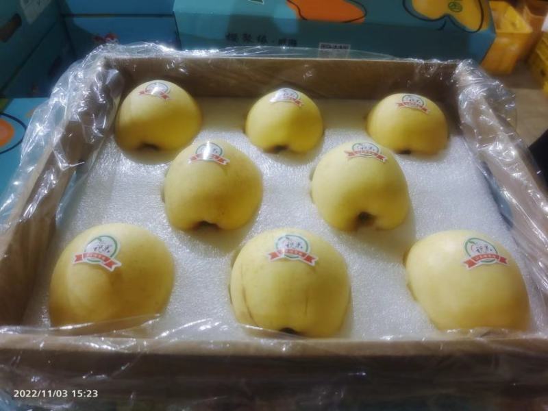 维纳斯苹果