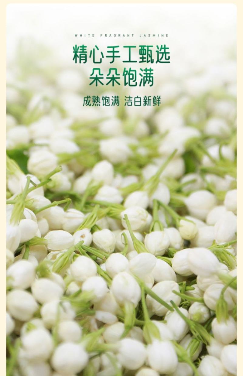 茉莉花茶新茶无硫浓香型礼袋包装存取方便