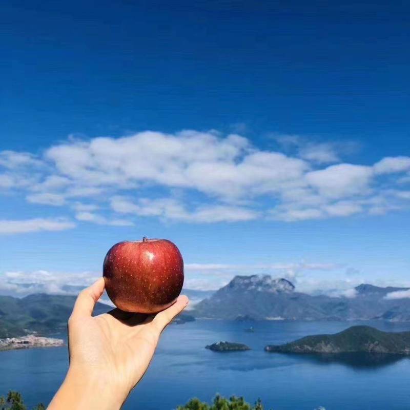 【一件代发】盐源.高原糖心丑苹果（泸沽湖畔）