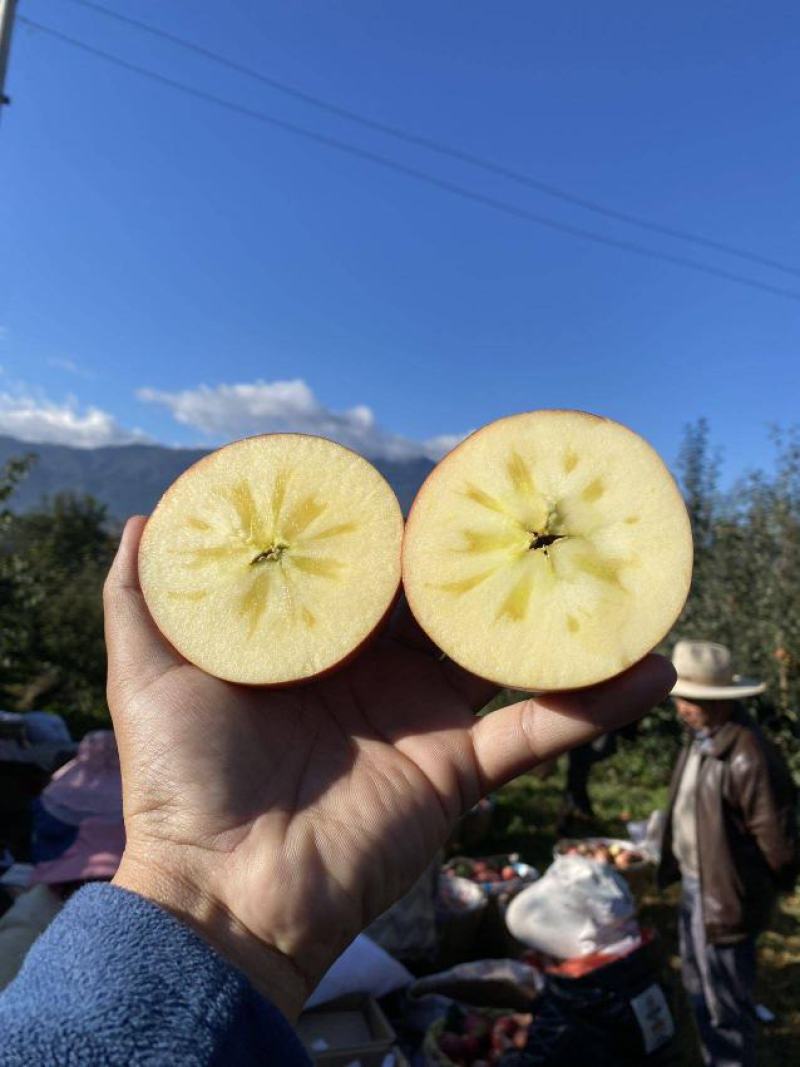 【一件代发】盐源.高原糖心丑苹果（泸沽湖畔）