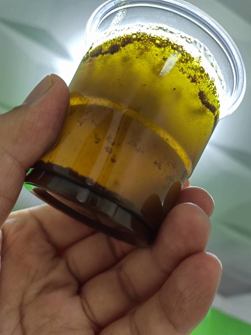 俄罗斯进口菜籽含油44.5-45，出油40，