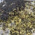 俄罗斯进口菜籽含油44.5-45，出油40，