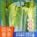 山东北京新三号白菜，大白菜净菜4-6斤适合超市，市场