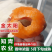 金太阳杏树苗嫁接苗包成活包结果支持技术指导可签合同