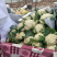 精品菜花白面青梗松花菜小米粒产地一手货源量大优惠