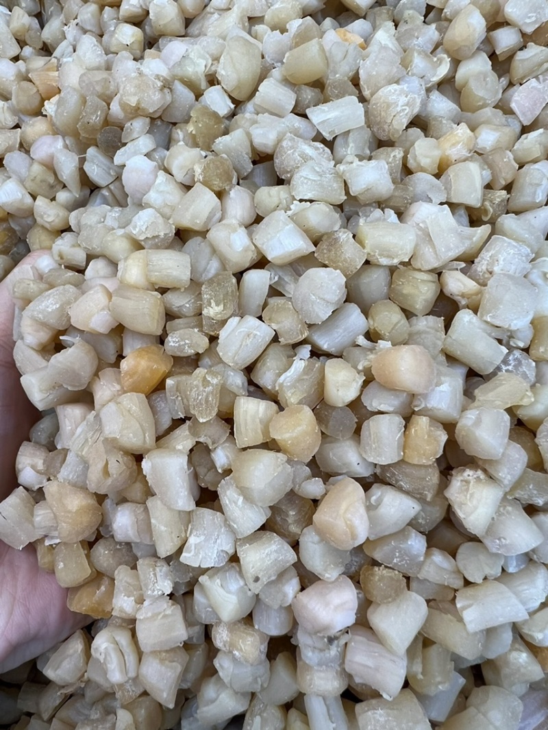 600头淡干瑶柱干贝