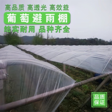大棚膜农膜塑料薄膜葡萄避雨棚专用膜防尘避雨防寒保温