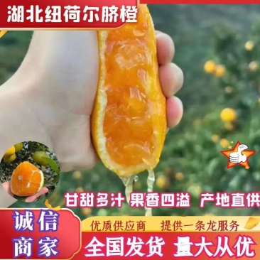 伦晚脐橙大量上市，质优价美，服务完善，走货便利欢迎咨询