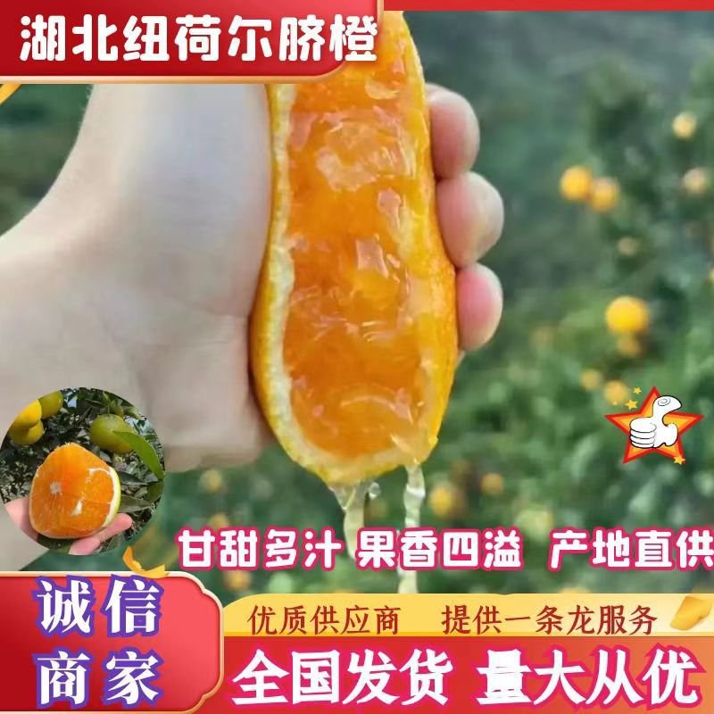 伦晚脐橙大量上市，质优价美，服务完善，走货便利欢迎咨询