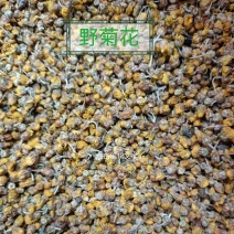 孝感高含量野菊花，质量有保证