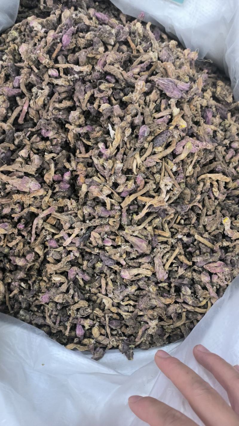 款冬花冬花无硫优质新货规格齐全批发零售支持代发