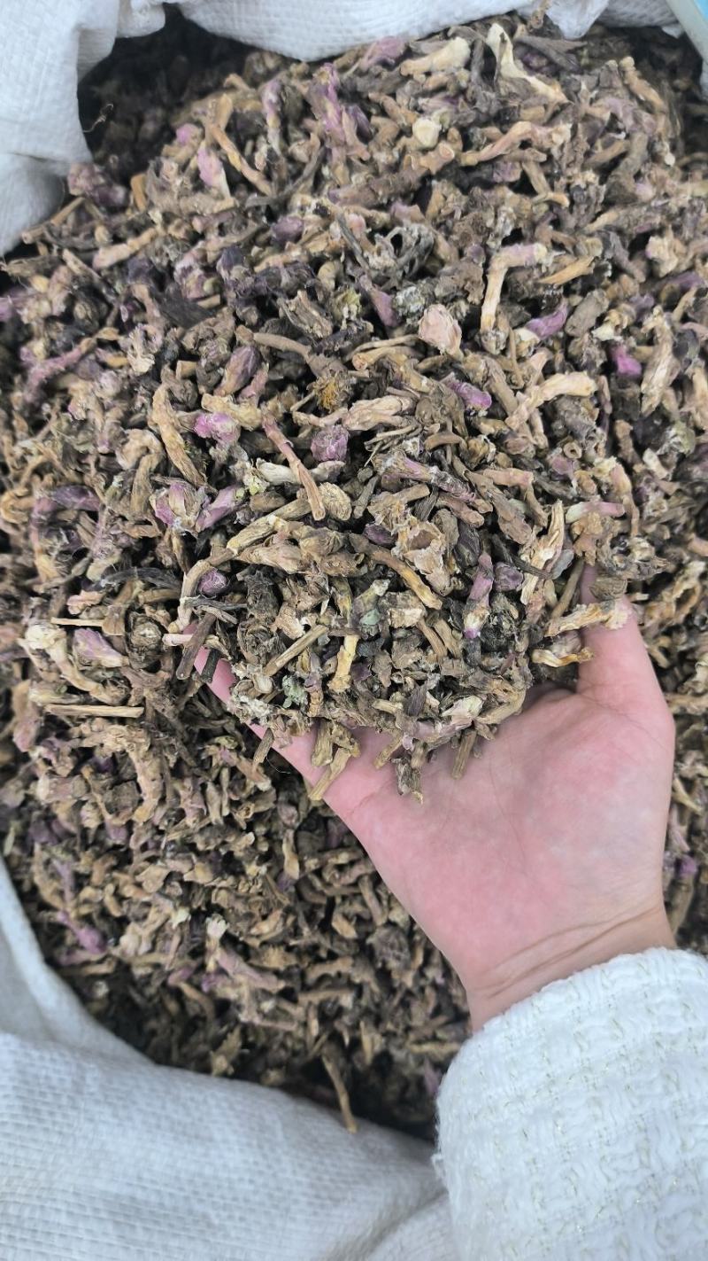 款冬花冬花无硫优质新货规格齐全批发零售支持代发
