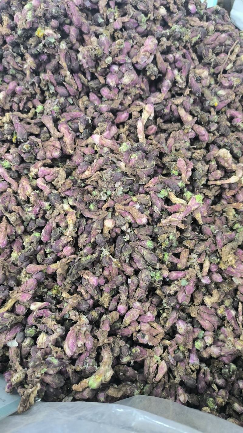 款冬花冬花无硫优质新货规格齐全批发零售支持代发