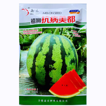 美都西瓜种子抗病美都早熟大红瓤品种种子
