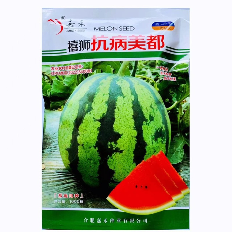美都西瓜种子抗病美都早熟大红瓤品种种子