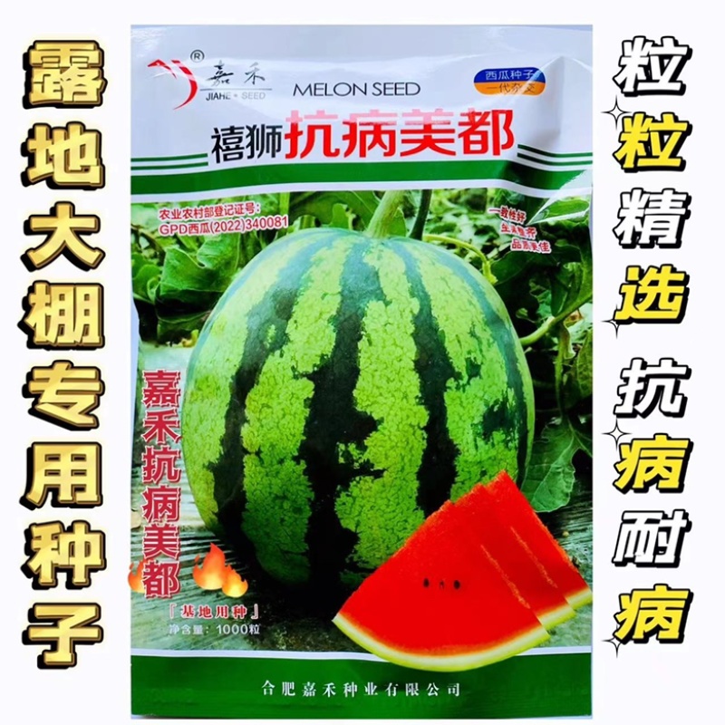 美都西瓜种子抗病美都早熟大红瓤品种种子