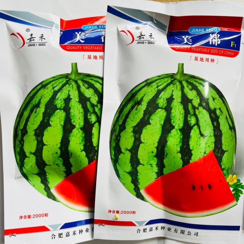 美都西瓜种子抗病美都早熟大红瓤品种种子