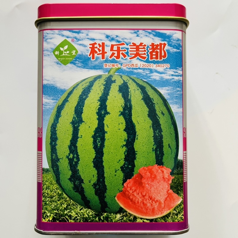 美都西瓜种子抗病美都早熟大红瓤品种种子