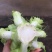儿菜