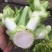 儿菜