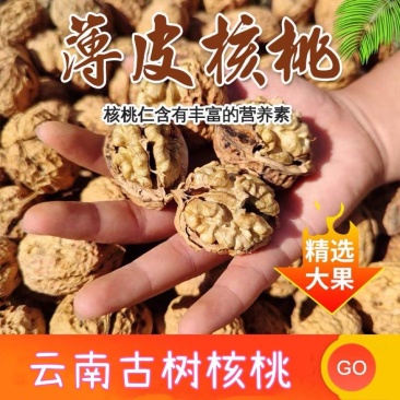 2022新货云南高山古树薄皮核桃品质保证批发零售代工代发