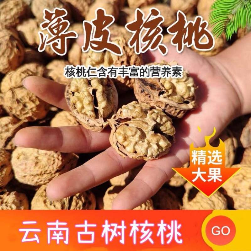 2022新货云南高山古树薄皮核桃品质保证批发零售代工代发