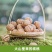 2022新货云南高山古树薄皮核桃品质保证批发零售代工代发