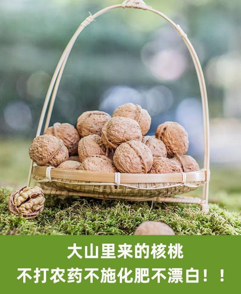 2022新货云南高山古树薄皮核桃品质保证批发零售代工代发