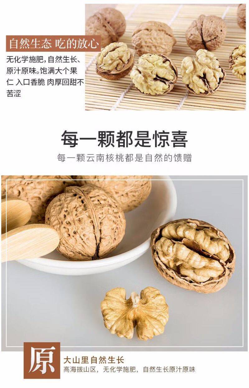 2022新货云南高山古树薄皮核桃品质保证批发零售代工代发