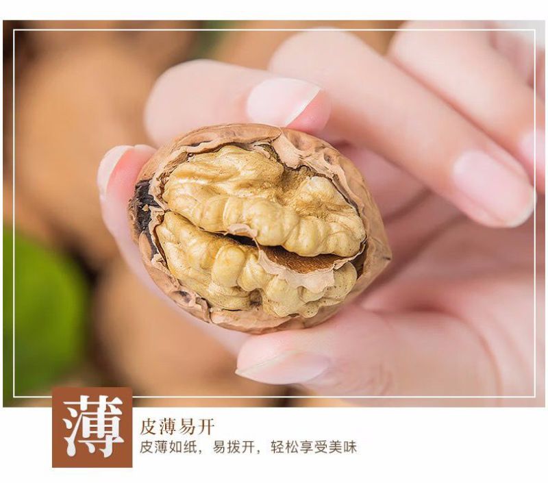 2022新货云南高山古树薄皮核桃品质保证批发零售代工代发