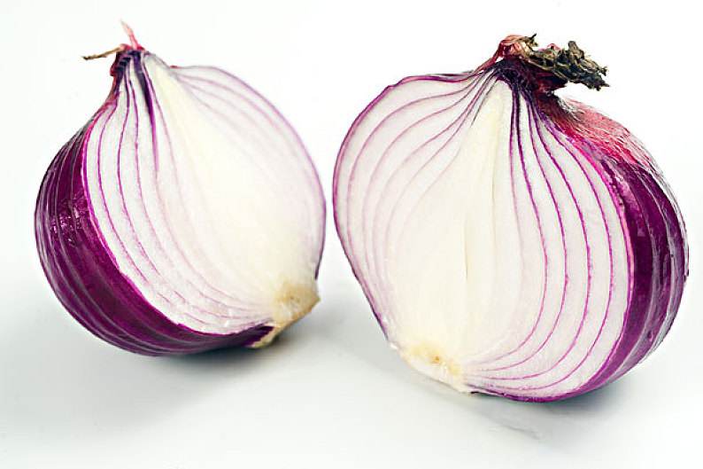 正在锅中翻炒的洋葱,呈现出微微透明的状态 炒制洋葱过程