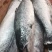冷冻三文鱼深海鱼一手货源价格便宜