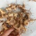 黄精块茎