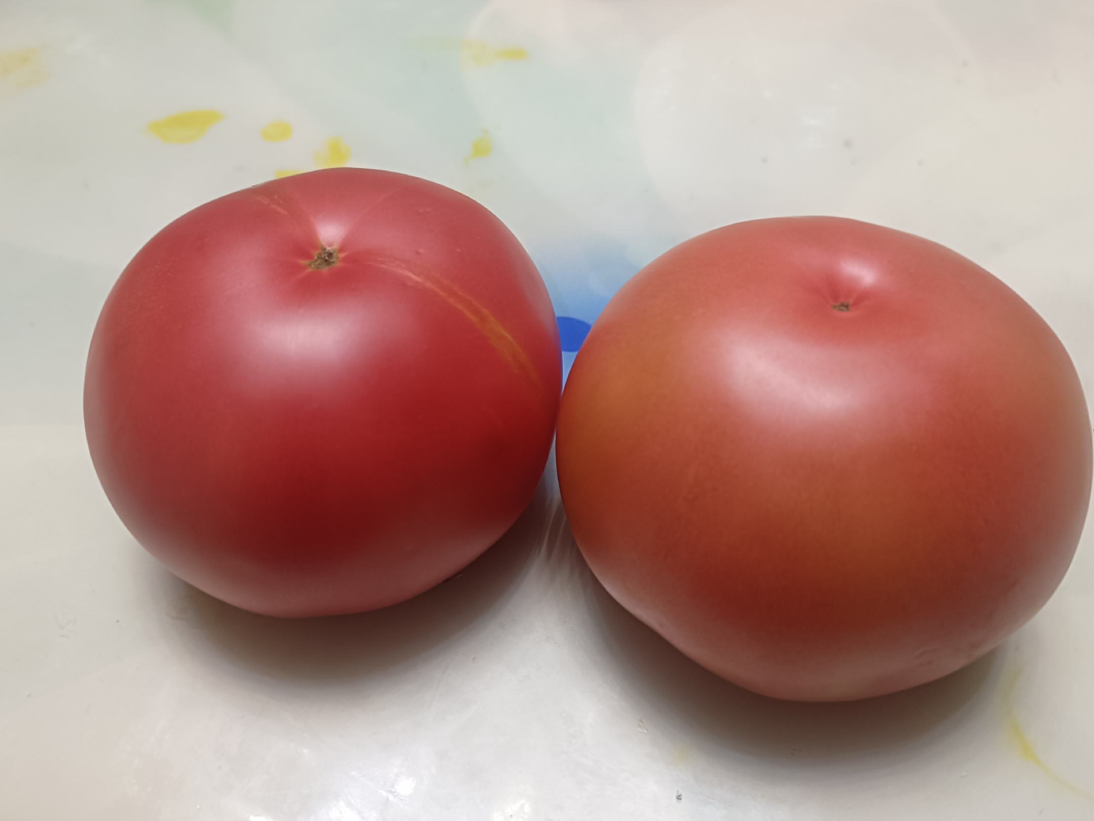 展示完整的红色西红柿,表皮光滑,果肉饱满,整体呈自然成熟状态 西红柿整体展示图