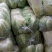 湖北沙洋黄心大白菜，新鲜量大，无虫眼，现摘现发