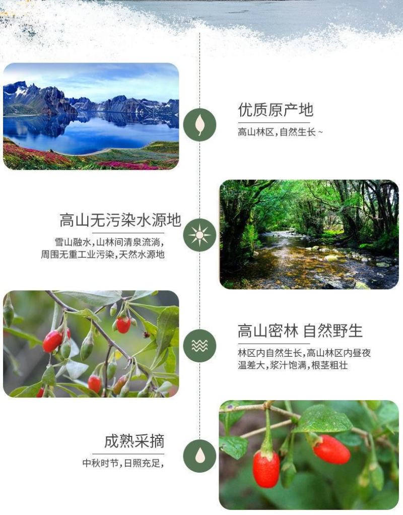 长白山野生枸杞干货优质选货野生枸杞煲汤泡水现货包邮