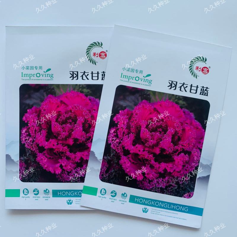 羽衣甘蓝种子小菜园专用四季蔬菜种子绿色保健可食用甘蓝