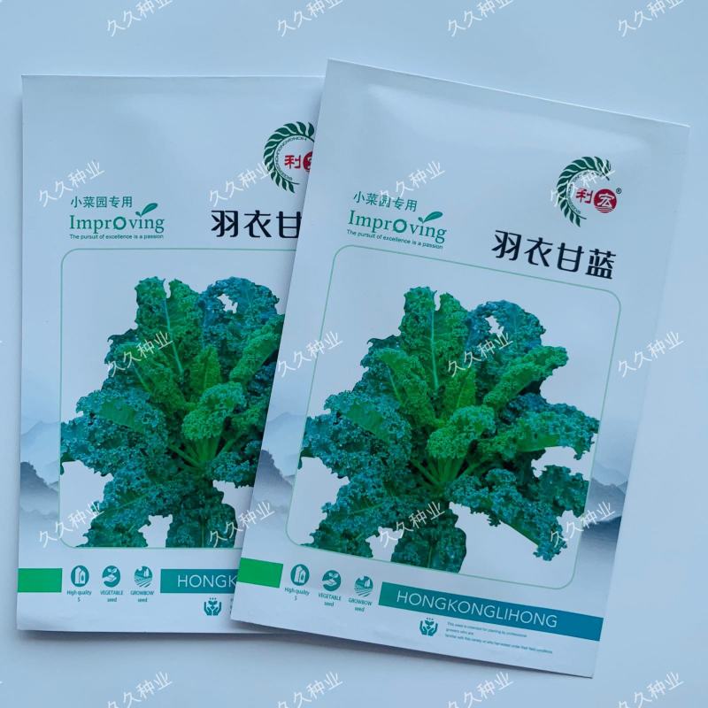 羽衣甘蓝种籽冬宝种子红宝羽衣甘兰甘蓝四季庭院阳台盆栽蔬菜