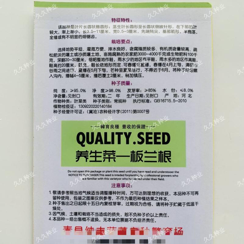板蓝根种子绿色保健菜春夏播种优质养生特菜种