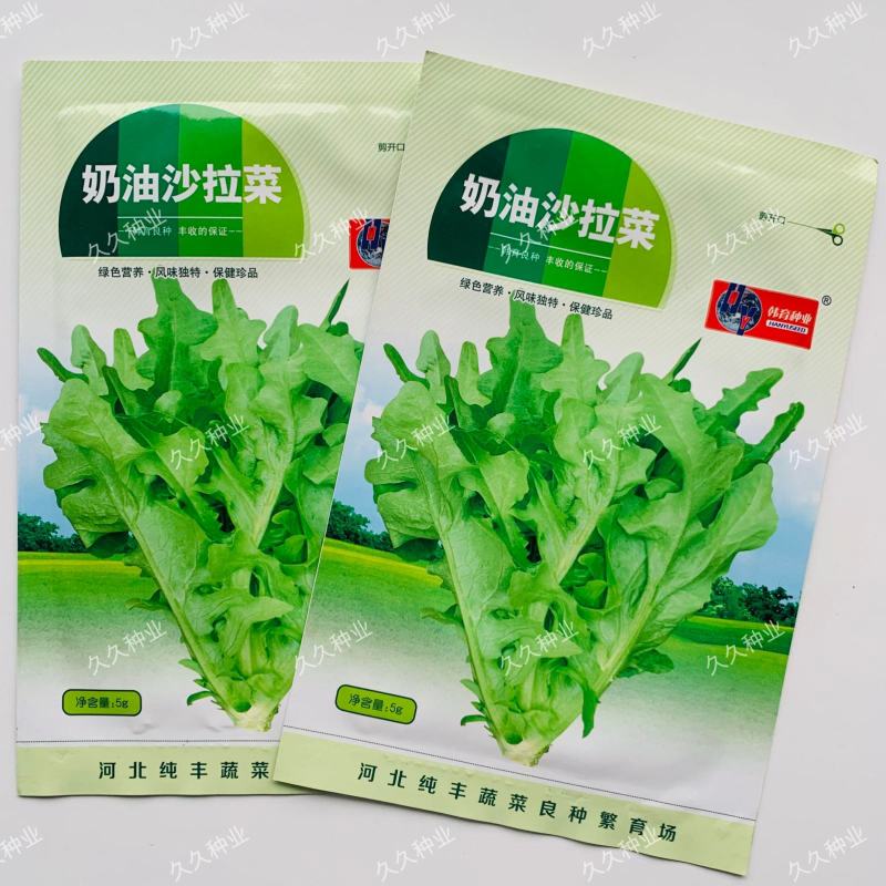 奶油沙拉菜种子蔬菜沙拉阳台种菜种子庭院绿植田地大棚四季播