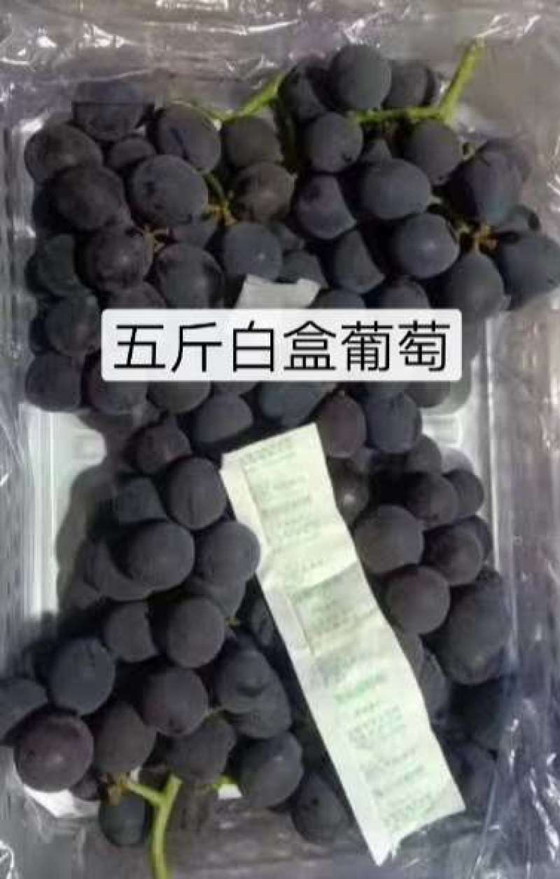 5斤白盒精品葡萄软根自然果不掉粒口感甘甜套袋无公害