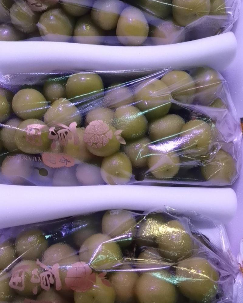 应季水果